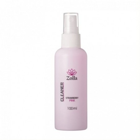 Cleaner Zolla - mit Sprühgerät Erdbeeren 100 ML