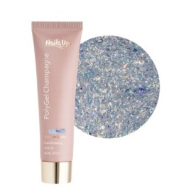 Polygel Nailsup Champagne 10 60ml