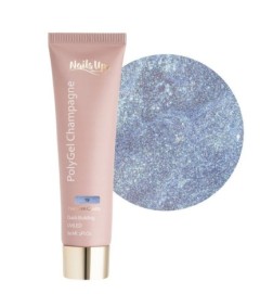 Polygel Nailsup Champagne 19 60ml