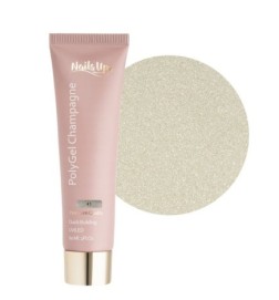 Polygel Nailsup Champagne 41 60ml