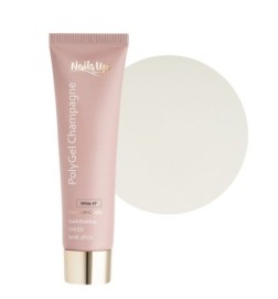 Polygel Nailsup Champagne 47 60ml