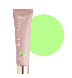 Polygel Nailsup Champagne 62 60ml