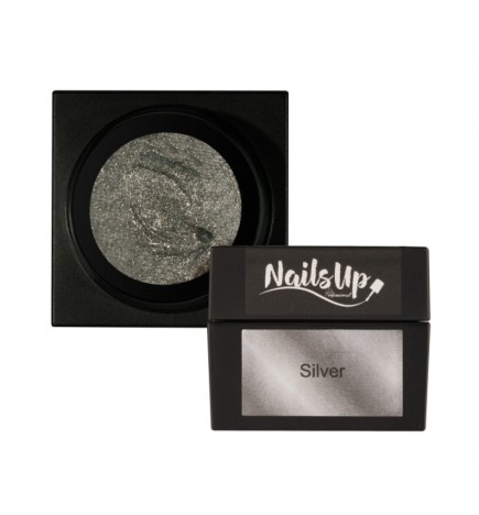 Gypsum gel Nailsup Silver 5g