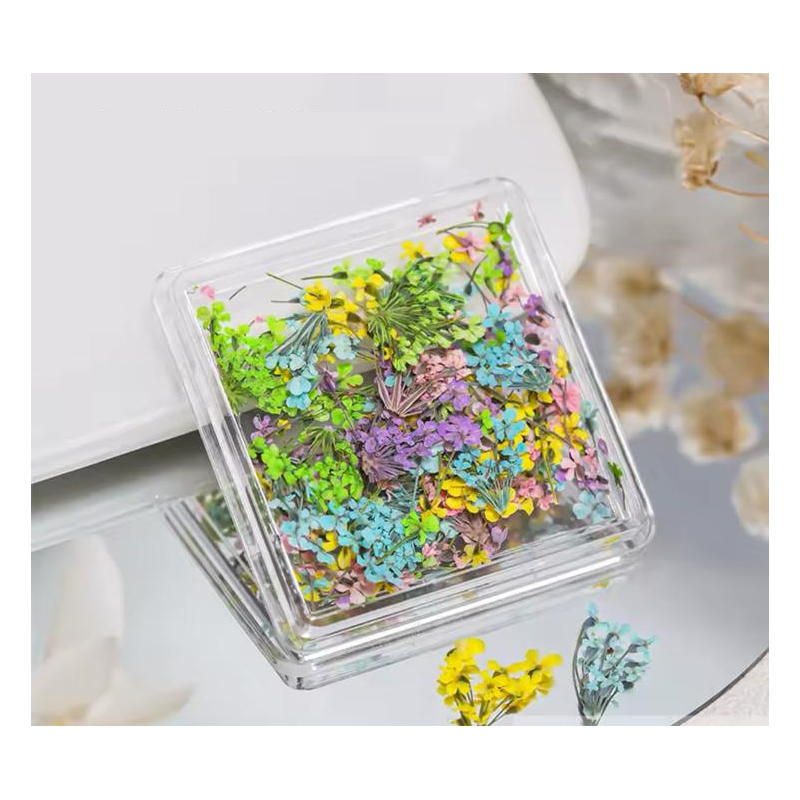 Getrocknete Blumen für Nageldekoration – Set 04 Getrocknete Blumen für Nageldekoration – Set 04
