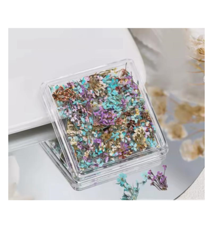 Getrocknete Blumen für Nageldekoration – Set 06