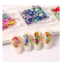 Getrocknete Blumen für Nageldekoration – Set 06