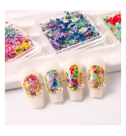 Getrocknete Blumen für Nageldekoration – Set 06